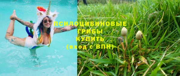 ALPHA PVP Алексин
