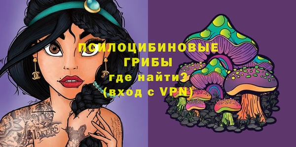 твердый Абинск