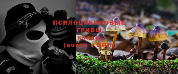 прущая мука Алзамай