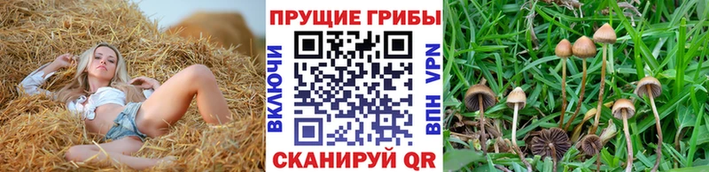 Псилоцибиновые грибы ЛСД  Грозный 